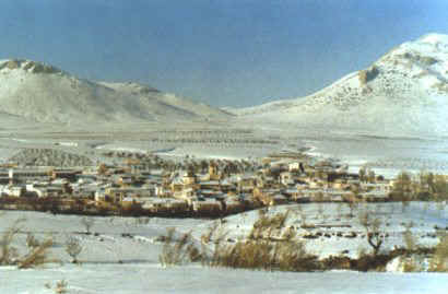 Chiripanor